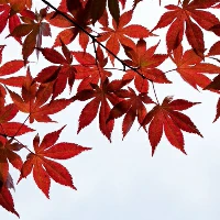 亚军球队的训练方案如何帮助你快速提升篮球技能_0